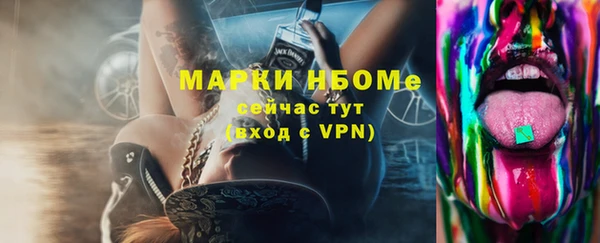 сатива Новодвинск