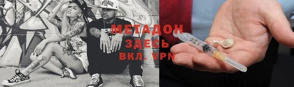 сатива Новодвинск