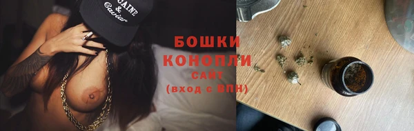 молекула духа Новокубанск