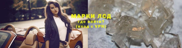 сатива Новодвинск