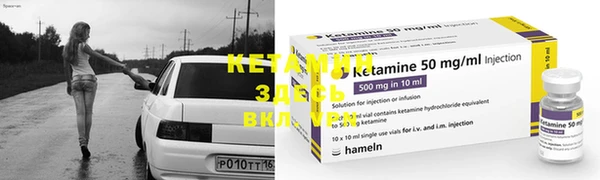 индика Нефтекумск