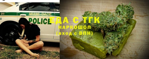 сатива Новодвинск