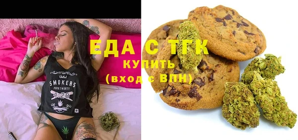 шишки Ельня