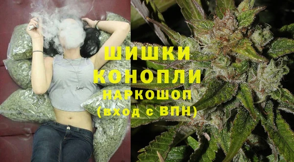 гидра Нея