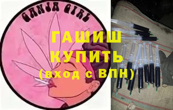 шишки Ельня