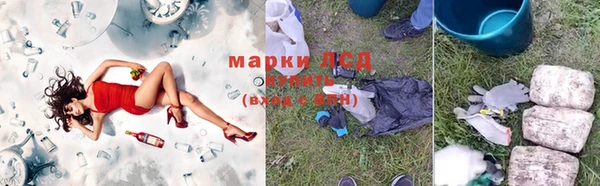 ПСИЛОЦИБИНОВЫЕ ГРИБЫ Бутурлиновка
