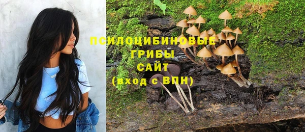 индика Нефтекумск