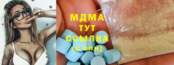 сатива Новодвинск